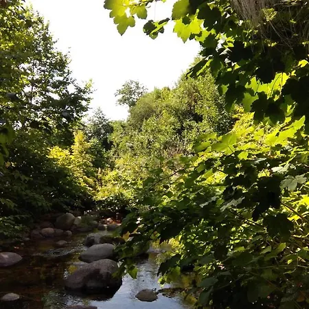 Atlantico * ジェレス