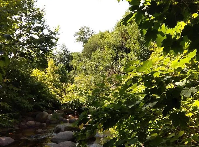 Atlantico * جيريز